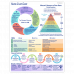 Nurse Study Guide Sheet